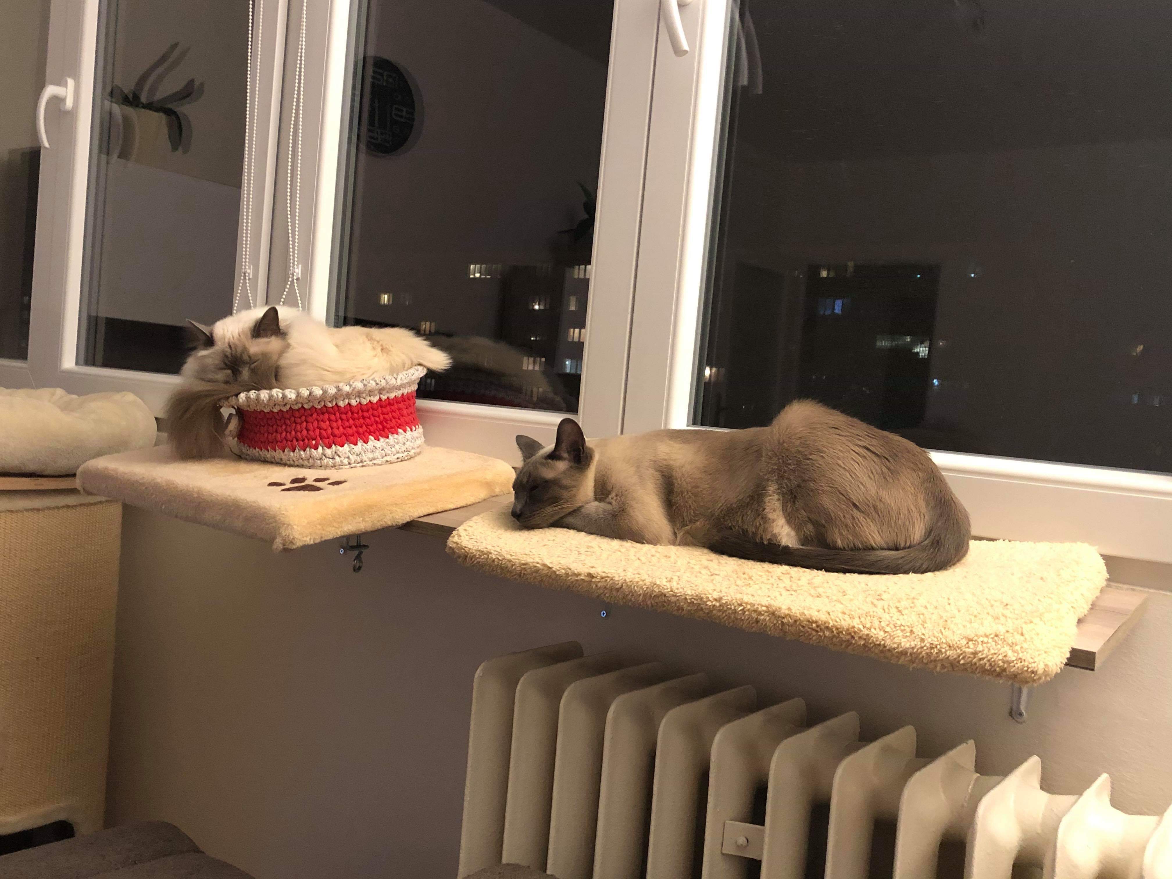 received_501574290773578