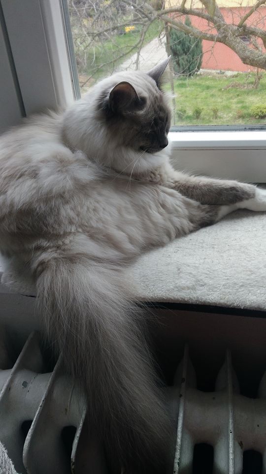 91626284_107963774189885_7298701156048437248_o