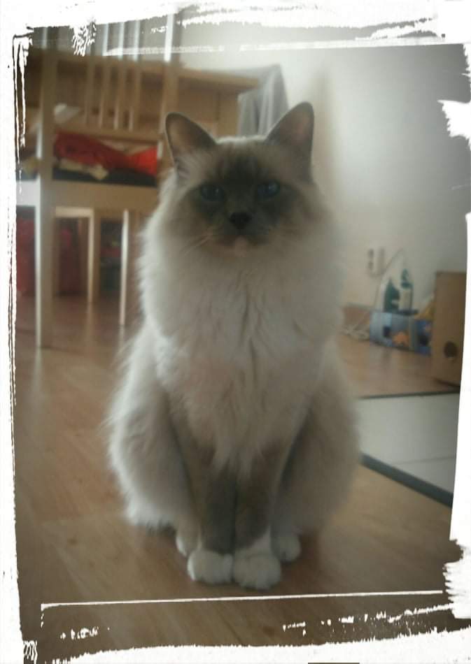 received_211939806809100