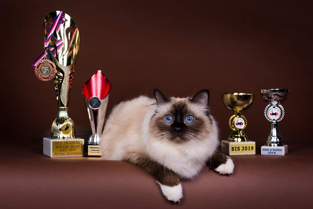 facebook_1585586517023