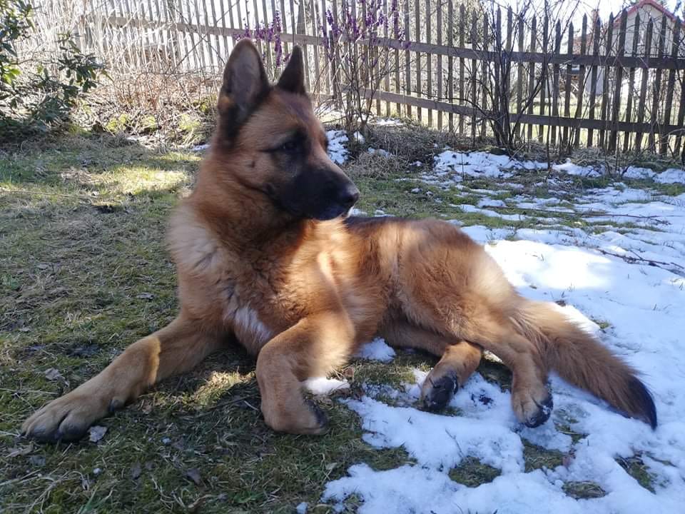 91405007_10207403274475724_6137401385722839040_n