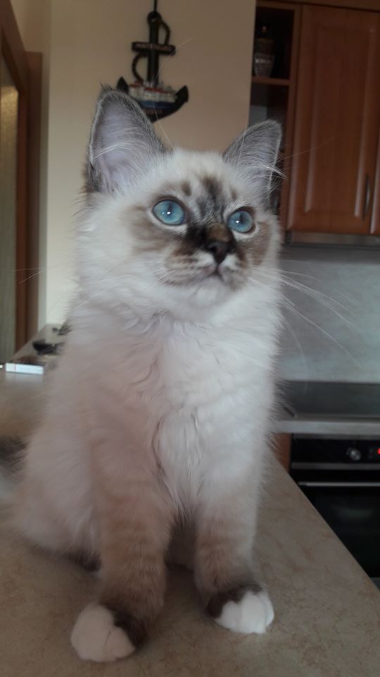 95831765_2554438654869936_4228037626625523712_o