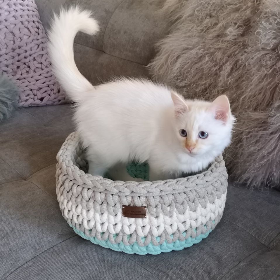 94949896_3552992341384480_2727734734711947264_o - kopie - kopie - kopie - kopie