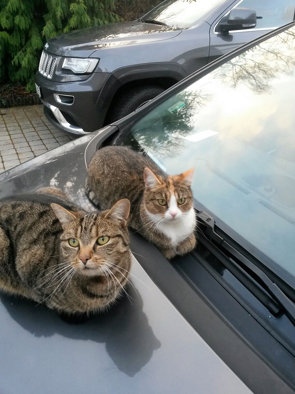 IMG-20151217-WA0001 (2)