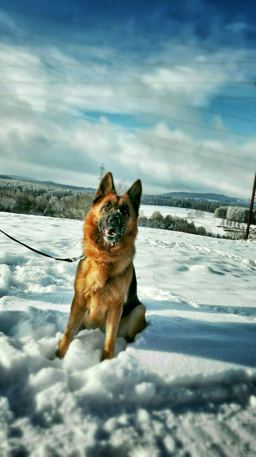 Orynečka leden 2016