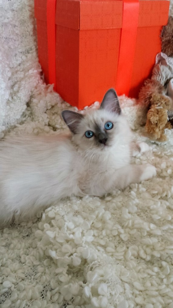 20160730_184546_resized