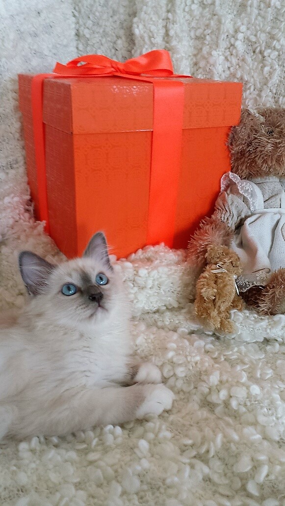 20160730_184621_resized