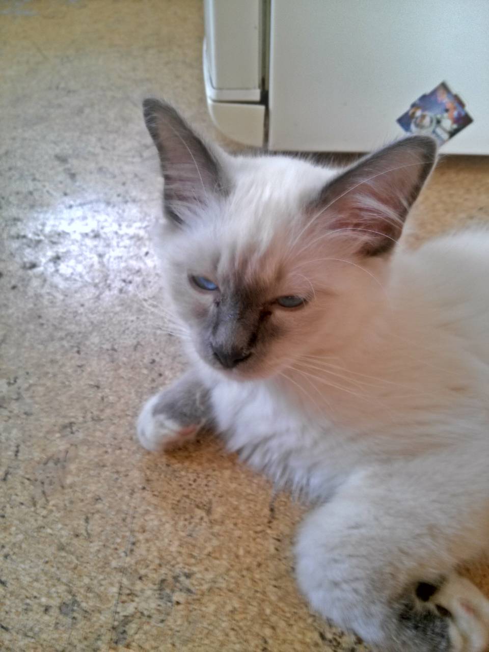 IMG-79ba89db3eafe318fcbccb5ae79d000f-V1