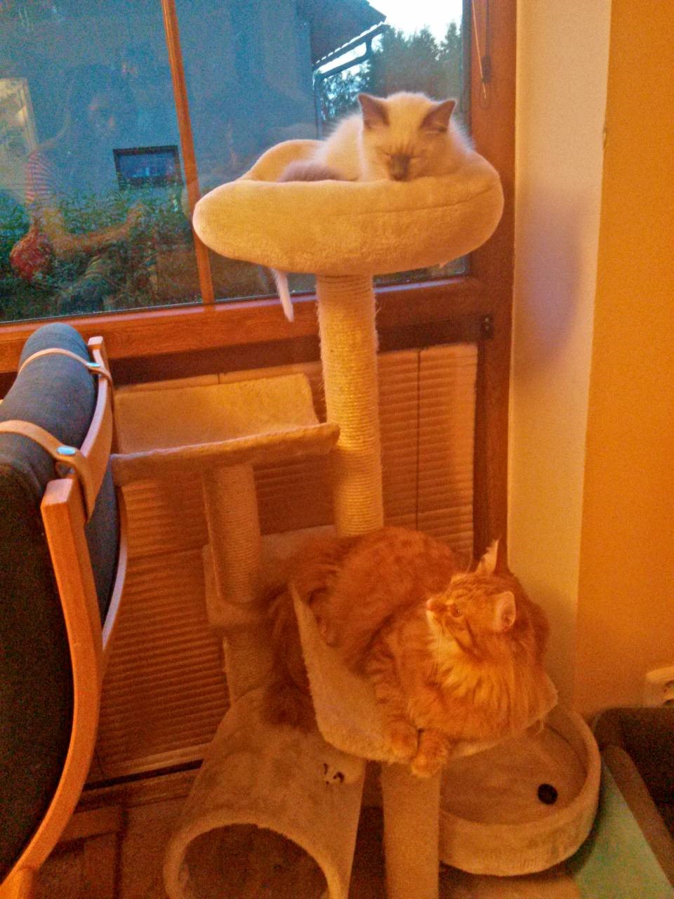 IMG-99d5598ed865c55bc7f24f375f772ab7-V